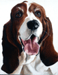 bassett_hound painting