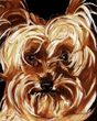 teacup yorkee terrier painting
