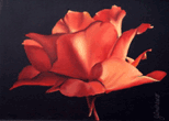 prange rose painting