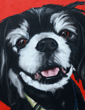 llasa apso painting